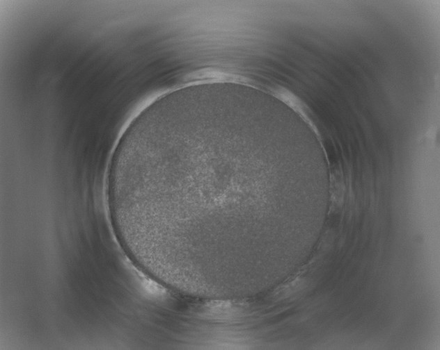 X0000062931098200601271825