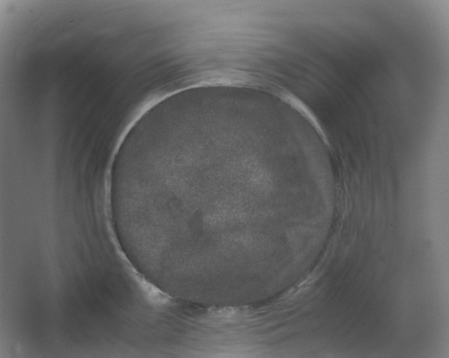 X0000062931099200601271825