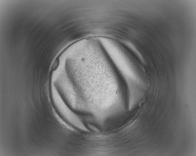 X0000062931100200601271825