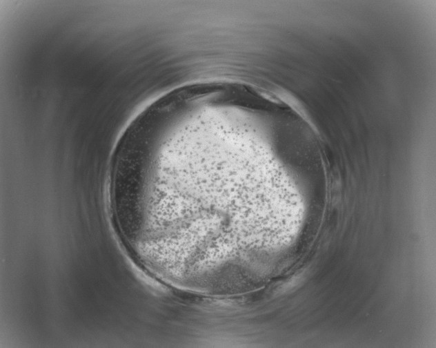 X0000062931101200601271825