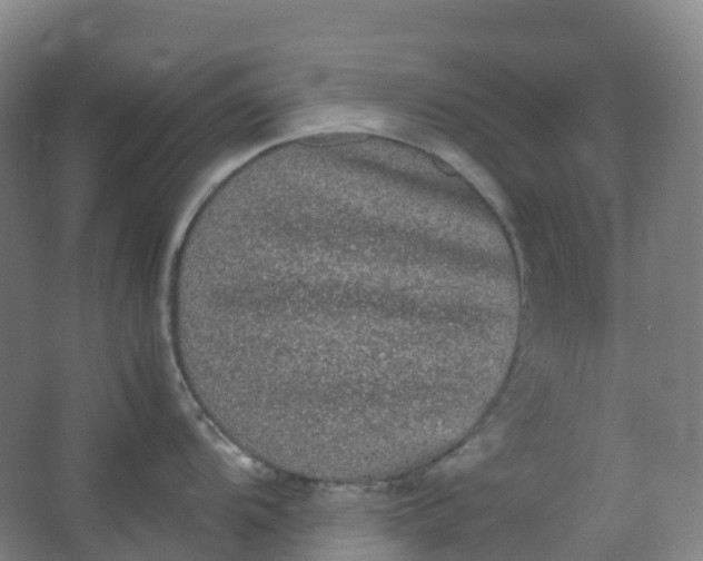 X0000062931104200601271825