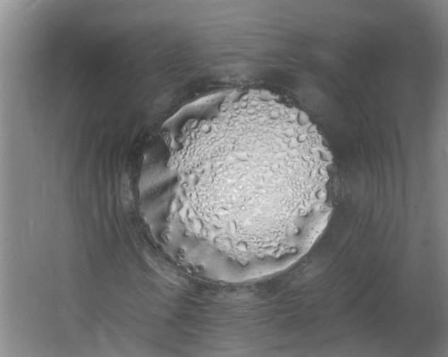 X0000062931106200601271824