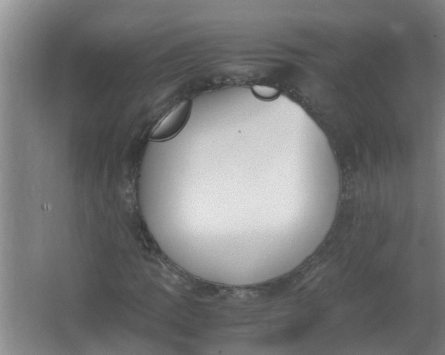 X0000062931109200601271824