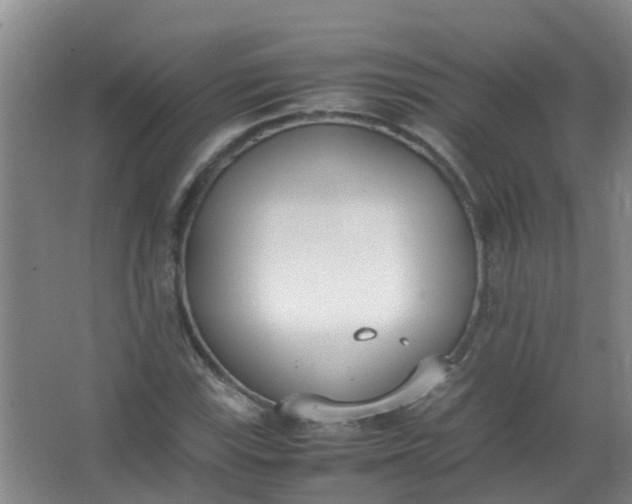 X0000062931115200601271825