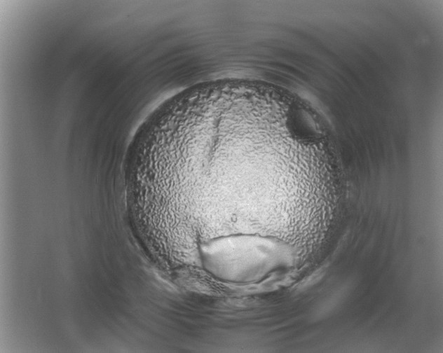 X0000062931117200601271825