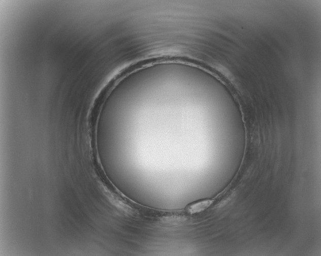 X0000062931118200601271825