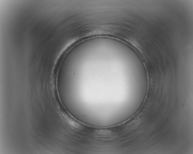 X0000062931119200601271825