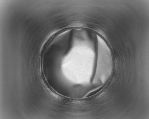 X0000062931123200601271825