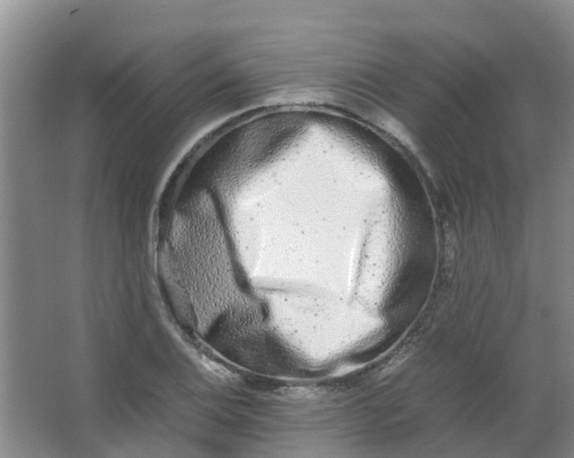 X0000062931124200601271825