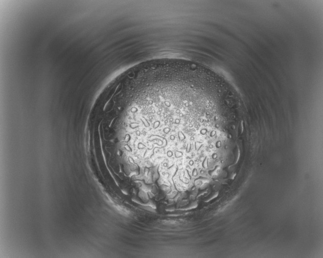 X0000062931125200601271825