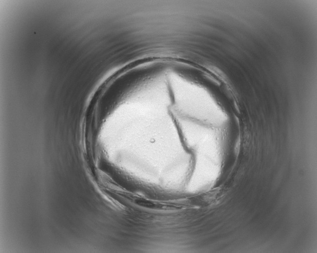 X0000062931128200601271825