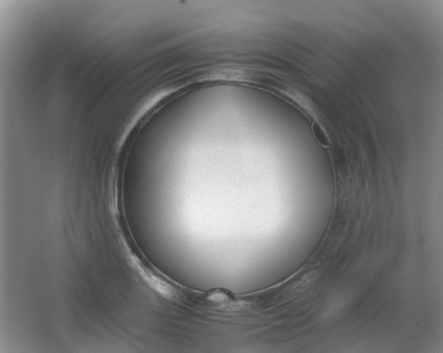 X0000062931131200601271825