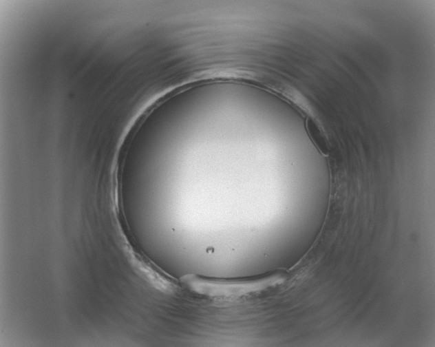 X0000062931132200601271825