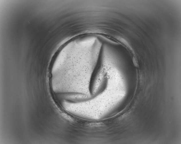 X0000062931133200601271825