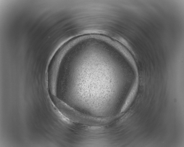 X0000062931140200601271825