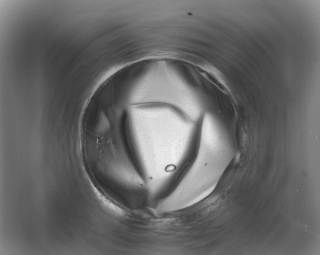 X0000062931143200601271825