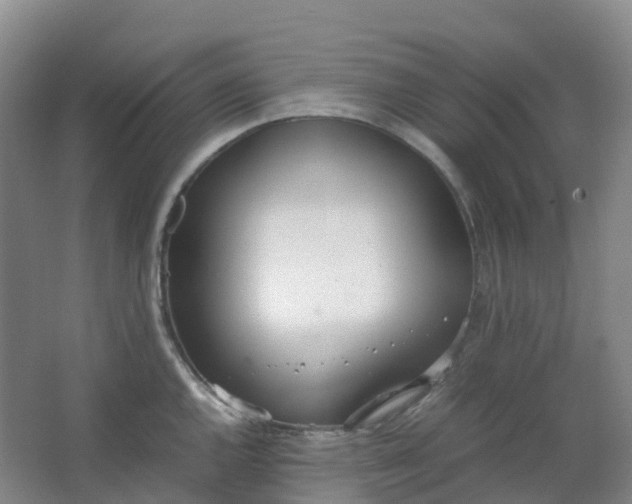 X0000062931144200601271825