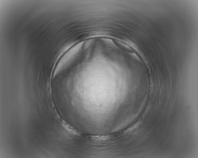 X0000062931145200601271825