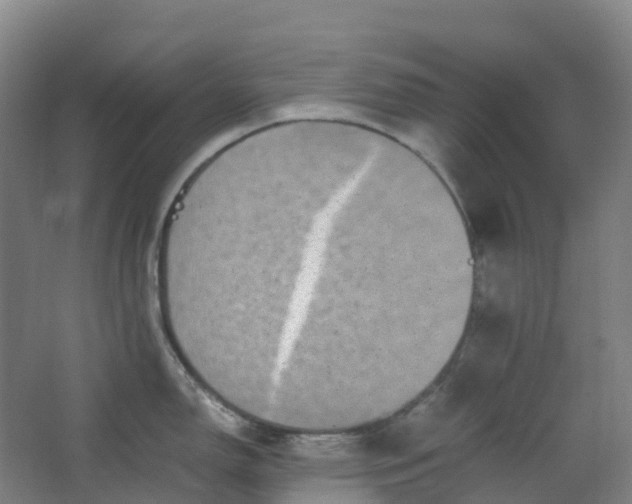 X0000062931150200601271825