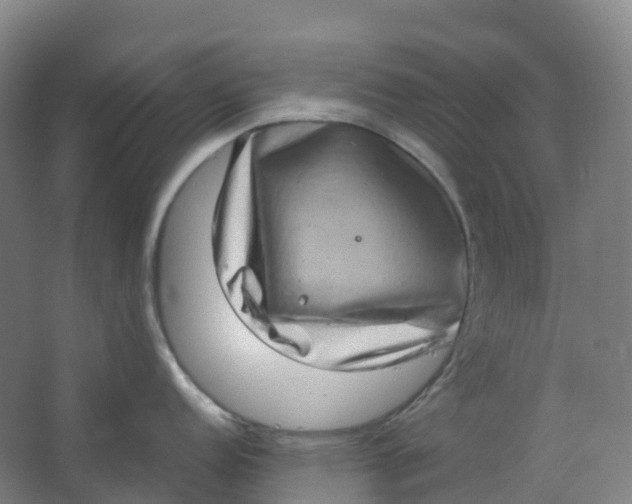 X0000062931152200601271825