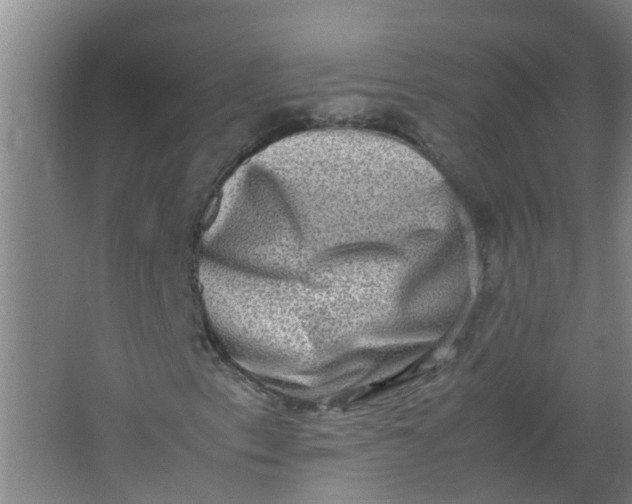 X0000062931153200601271824