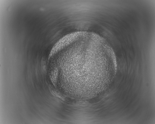 X0000062931154200601271824