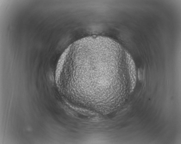 X0000062931155200601271824