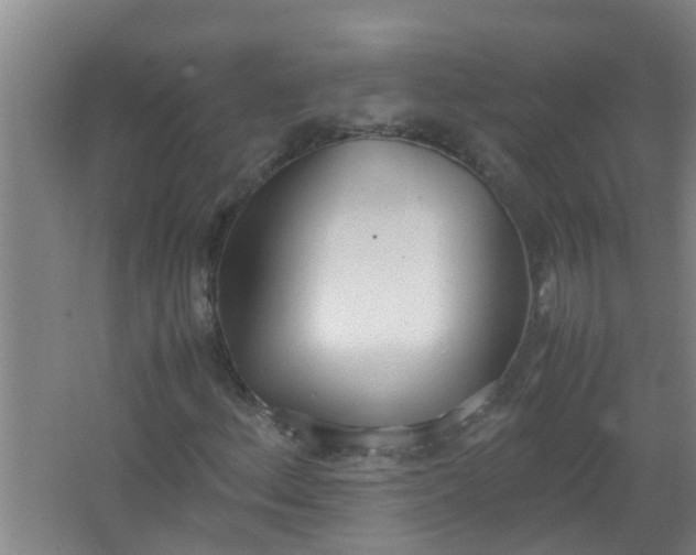 X0000062931156200601271824