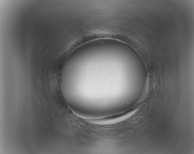 X0000062931157200601271824