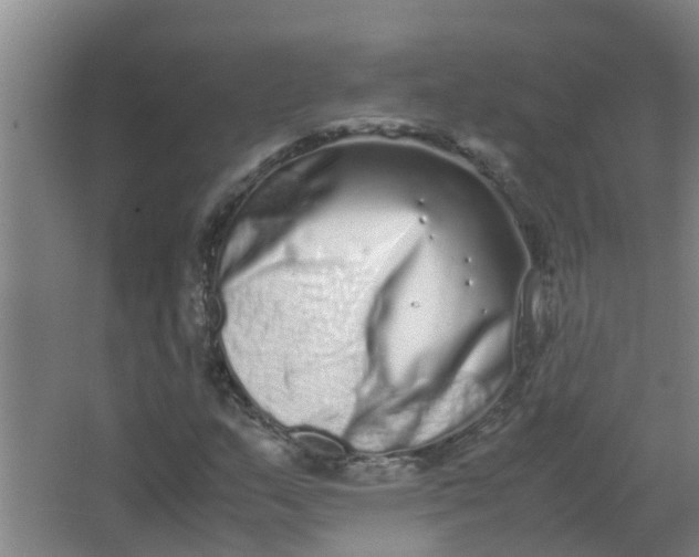 X0000062931159200601271824