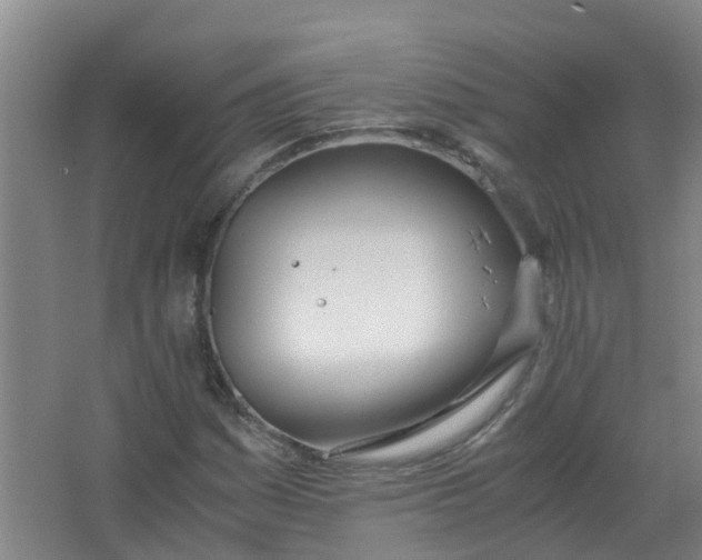 X0000062931161200601271824