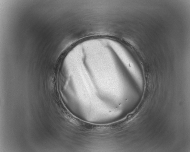 X0000062931163200601271824