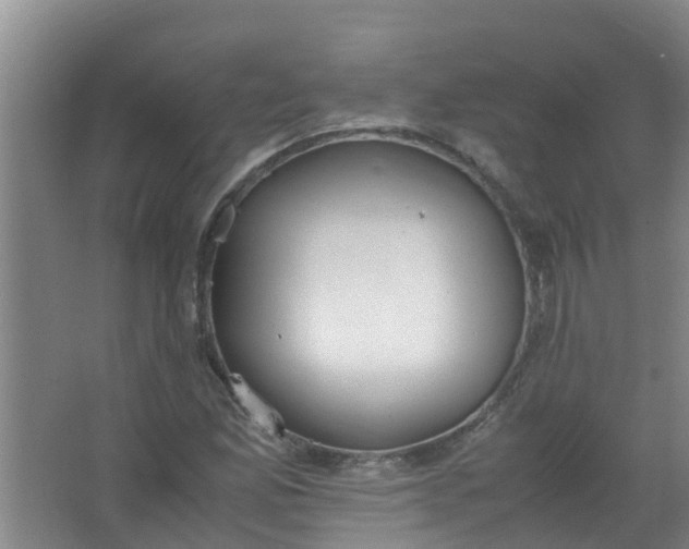 X0000062931165200601271824