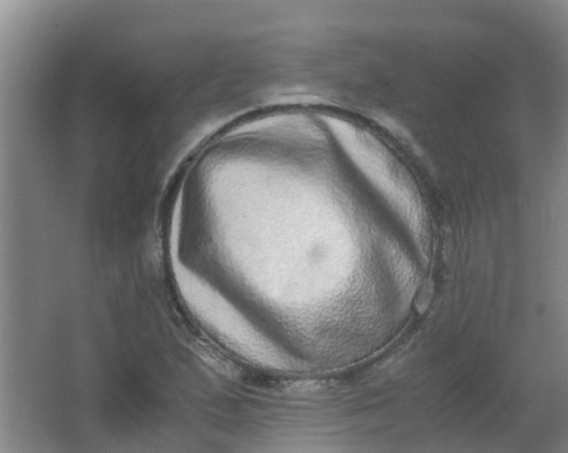 X0000062931167200601271824