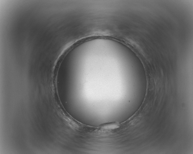 X0000062931168200601271824