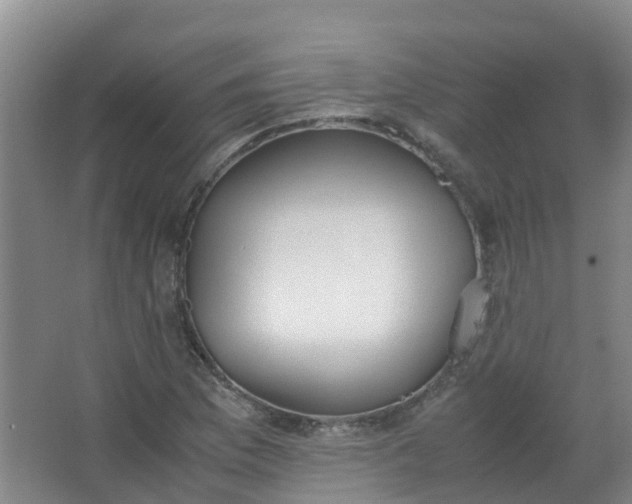 X0000062931169200601271824