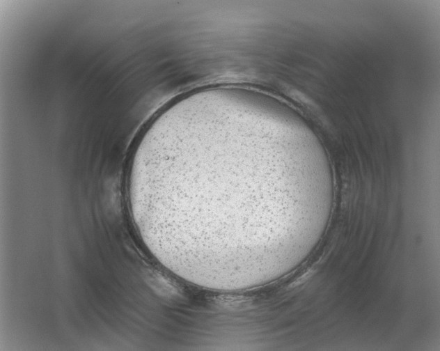 X0000062931170200601271824