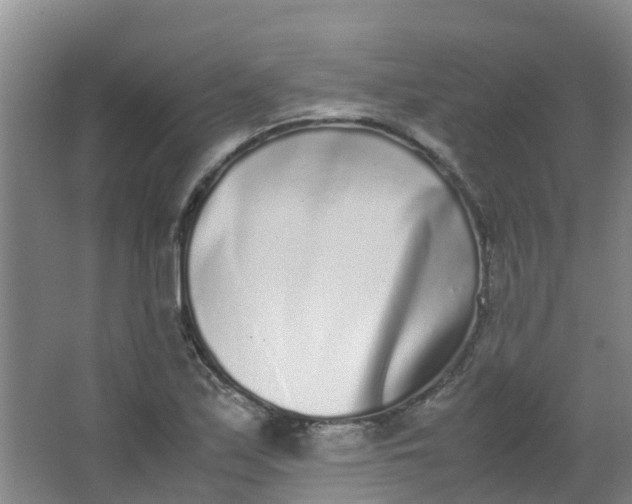 X0000062931171200601271824