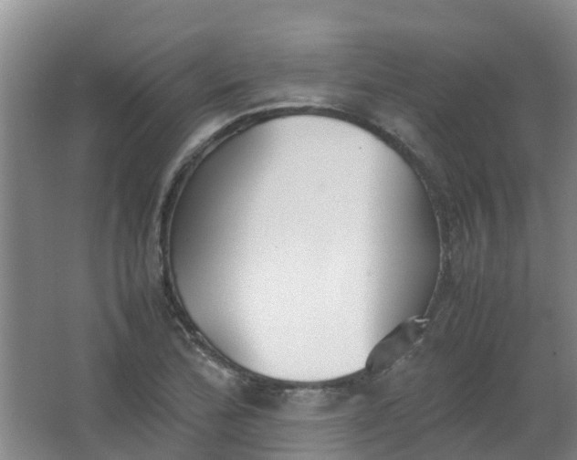 X0000062931172200601271824