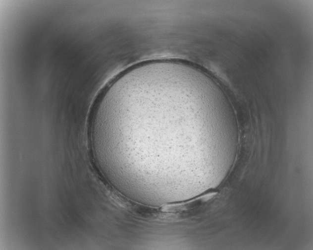 X0000062931173200601271824