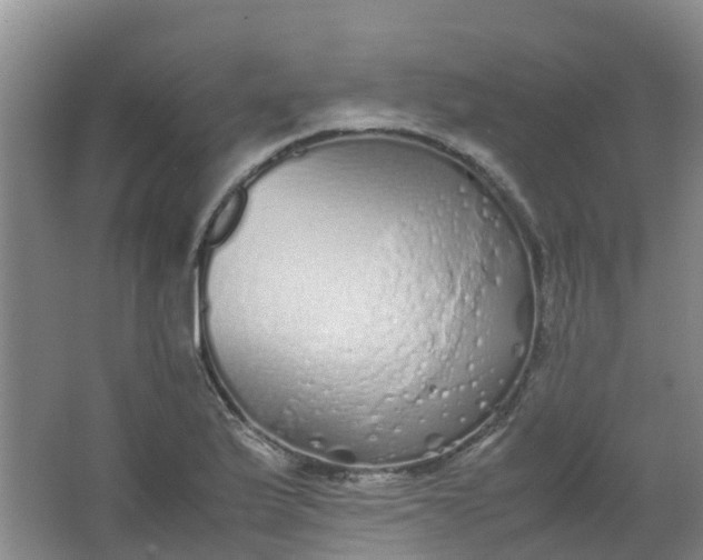 X0000062931175200601271824