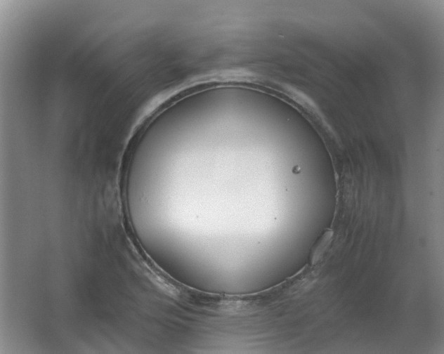 X0000062931176200601271824