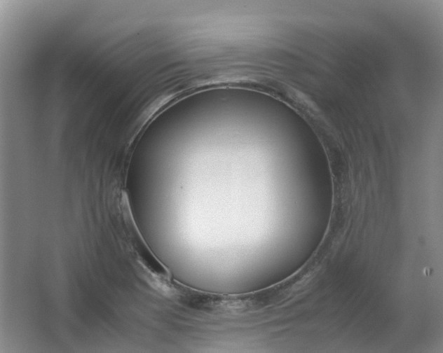 X0000062931177200601271824