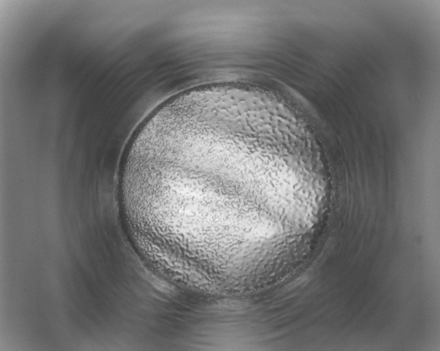 X0000062931178200601271824