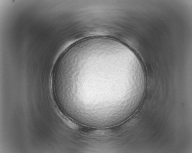 X0000062931179200601271824