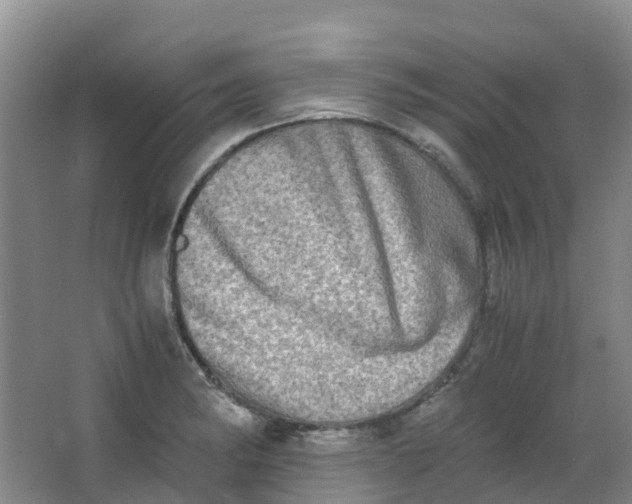 X0000062931182200601271824