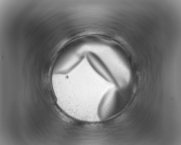 X0000062931185200601271824