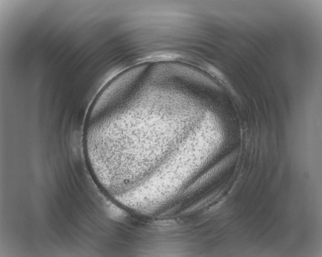 X0000062931186200601271824