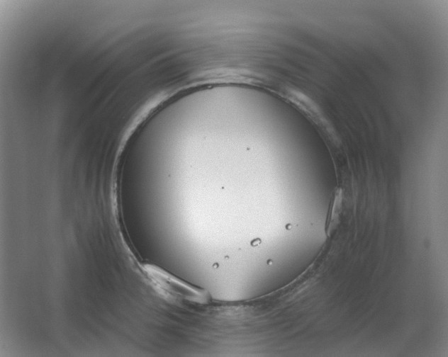 X0000062931188200601271824