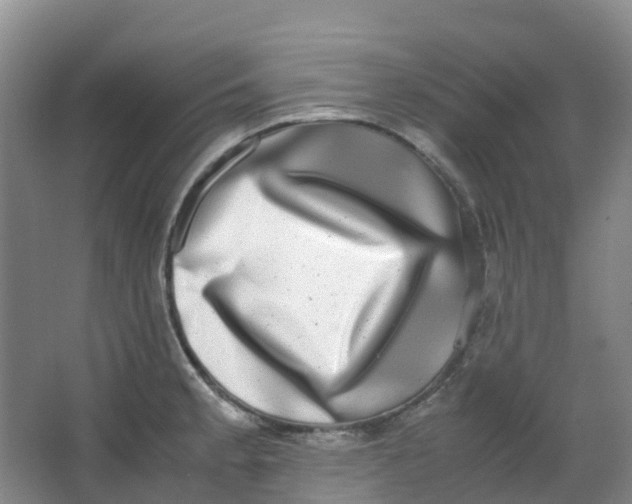 X0000062931189200601271824